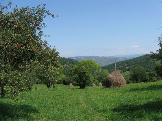 Das transsilvanische Hügelland